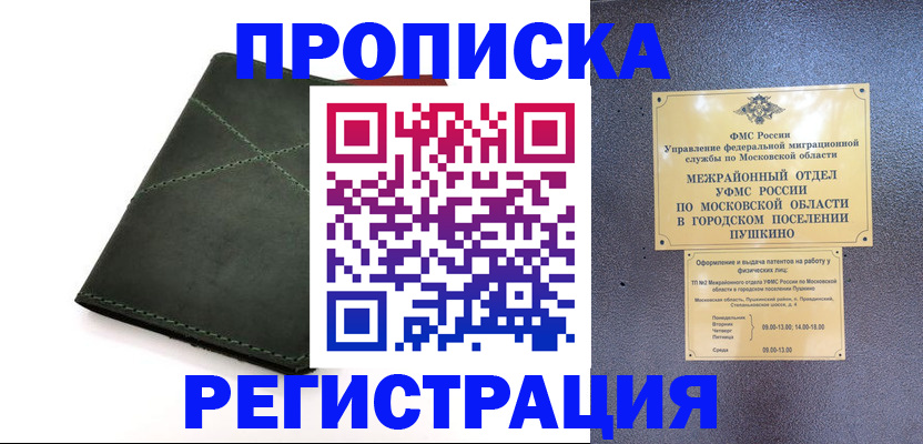 прописка в квартире в Бабаево